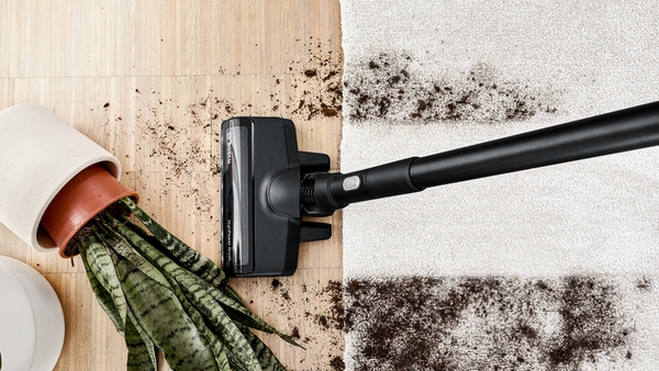 domIm - BS Partner (Image №16)